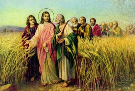 christ_sowing_parable
