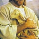 good shepherd